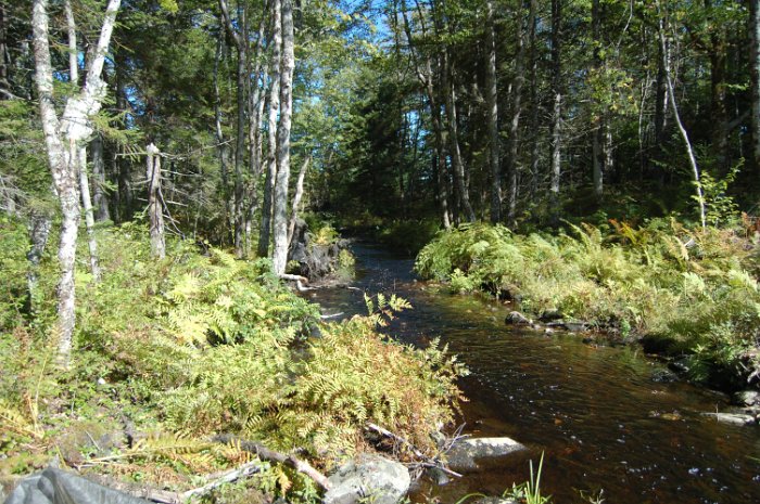 Four Island Lake 2012_003